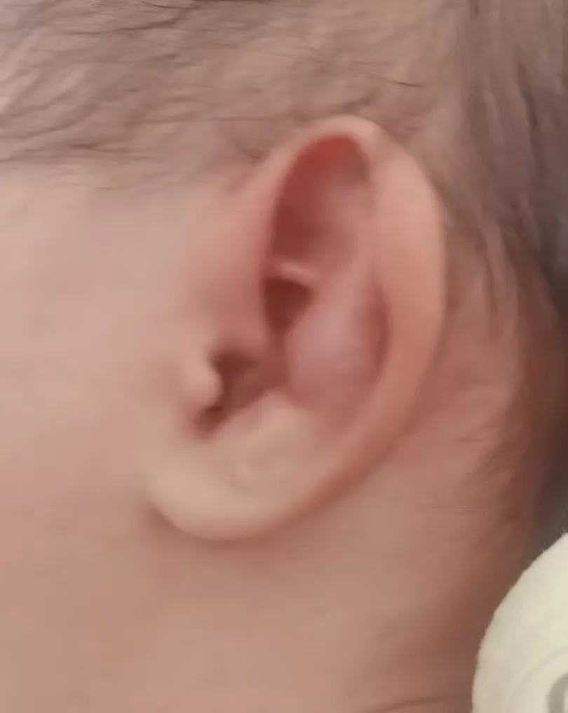 1780018549724251.png