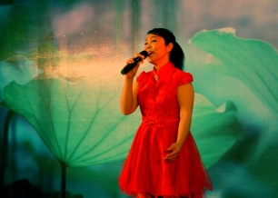 林林風(fēng)采-新聯(lián)會年會演出6