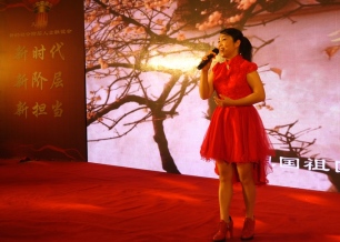 林林風(fēng)采-新聯(lián)會年會演出4