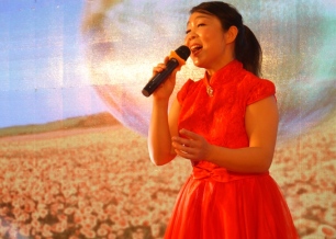 林林風(fēng)采-新聯(lián)會年會演出7