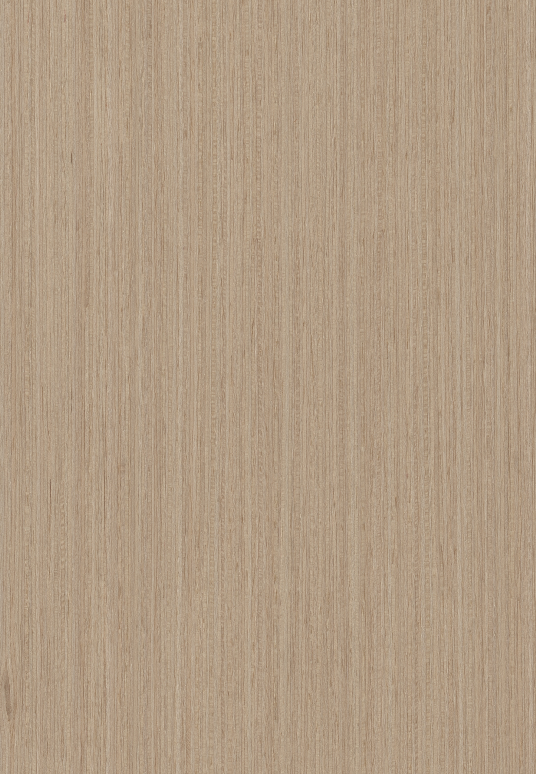 m6334 白橡木直纹_惠州市摩彩装饰材料有限公司