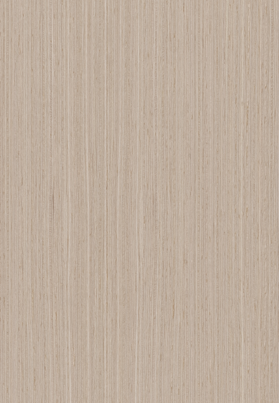m6331 ľֱ