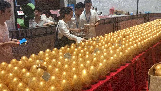1566809146433626.gif 6fc1237d-f1c3-4c7e-a857-0040e2bdc194_.gif