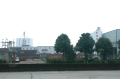 SgSò
