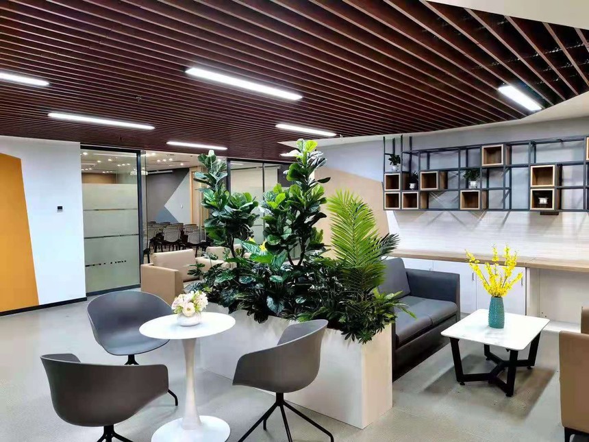 1623913988152324.jpg 01.jpg