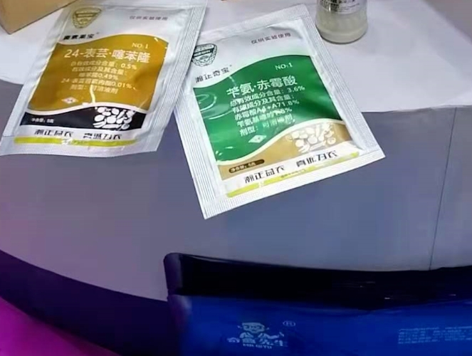 ΢�Ž�ͼ_20241203094717.png