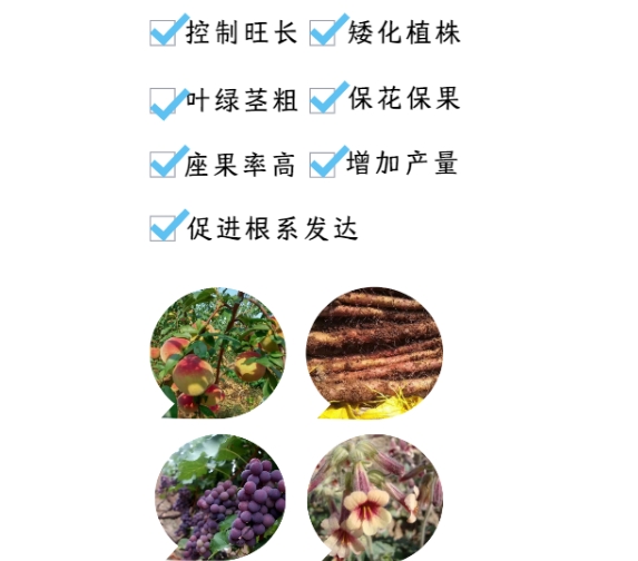 ΢Žͼ_20250222145006.png