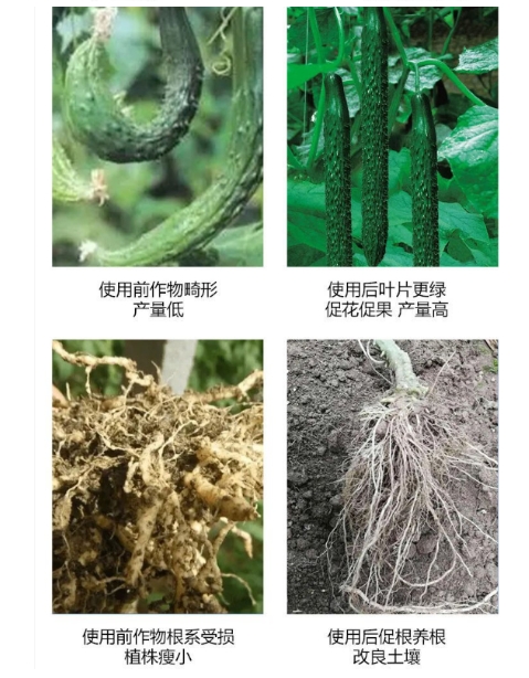 1740540152814697.png 微信截图_20250226111540.png