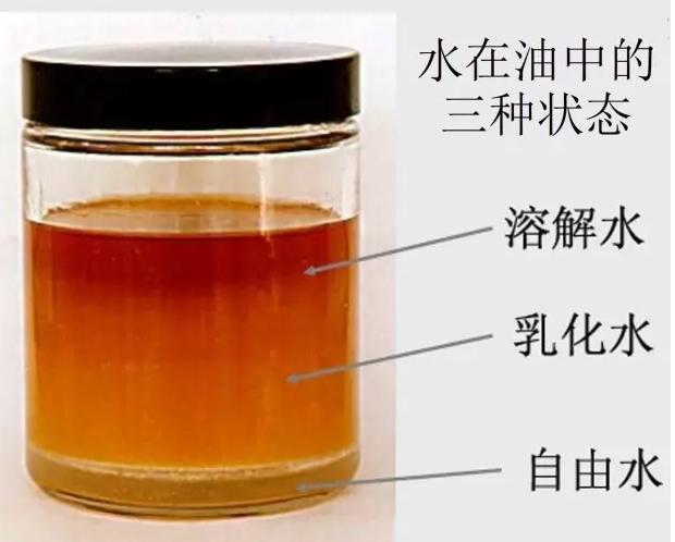 ������������ͻ������д���ˮ�ݵ�Ӱ��