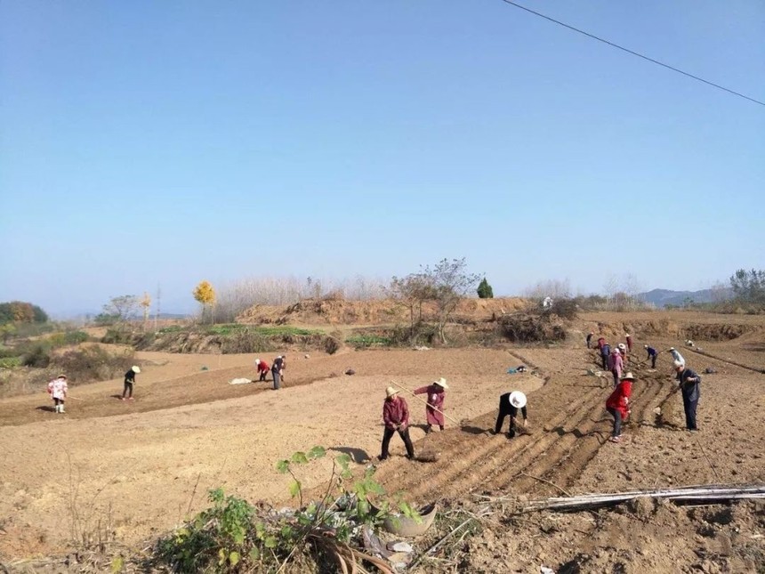 1666142715152524.jpg 圖片1_副本.jpg