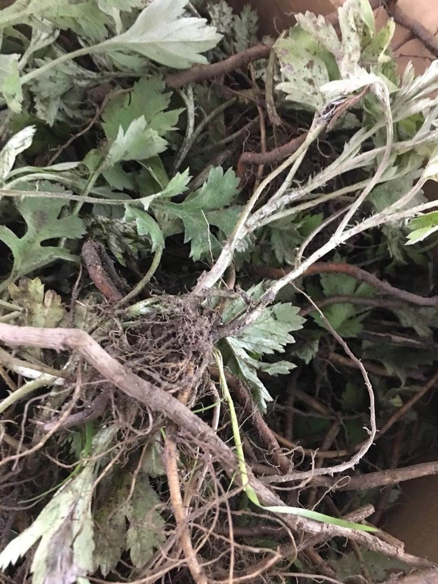 1666142746899494.jpg 圖片2_副本.jpg