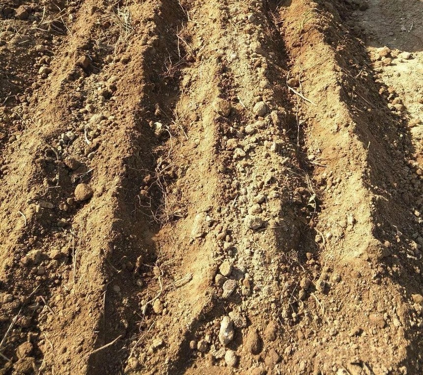 1666143234408081.jpg 圖片3_副本.jpg