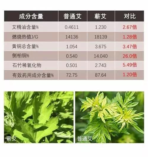 1732674929934482.jpg 成份含量對比.jpg