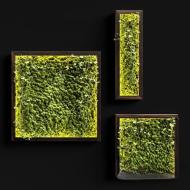 15ǽ