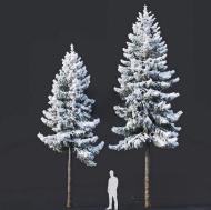 36