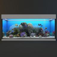 485