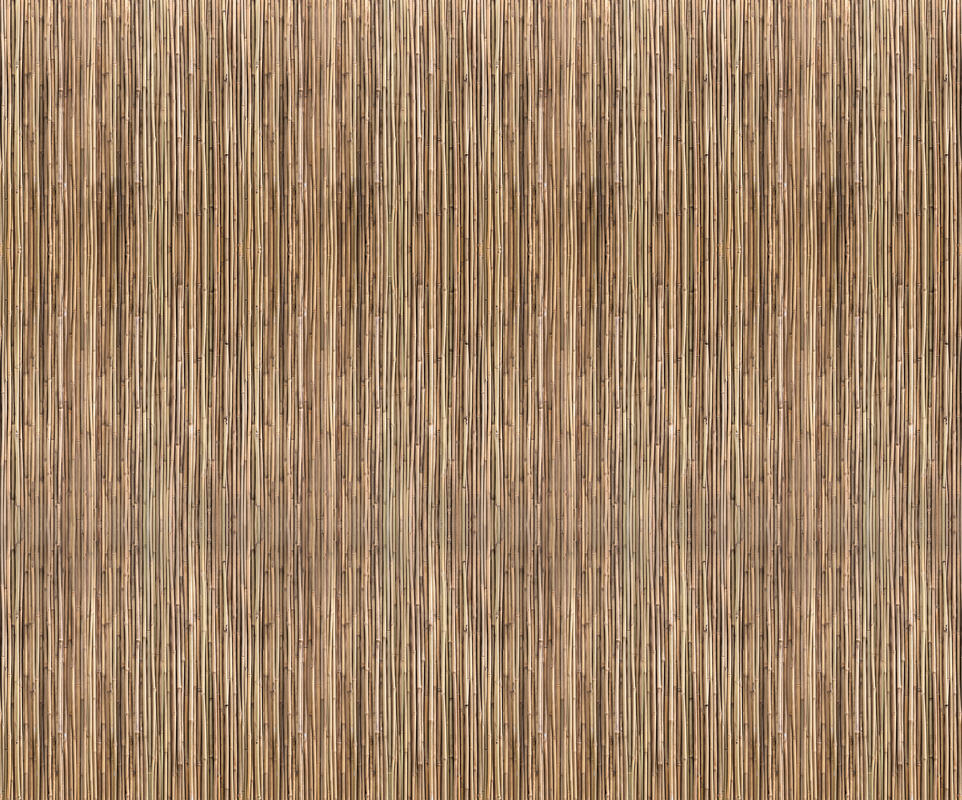 Y (16).jpg