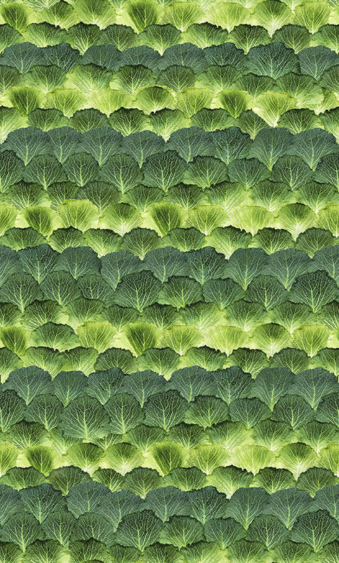 Y (97).jpg