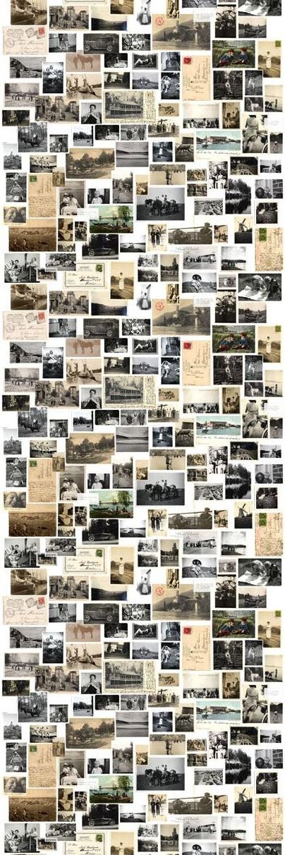 Y (206).jpg