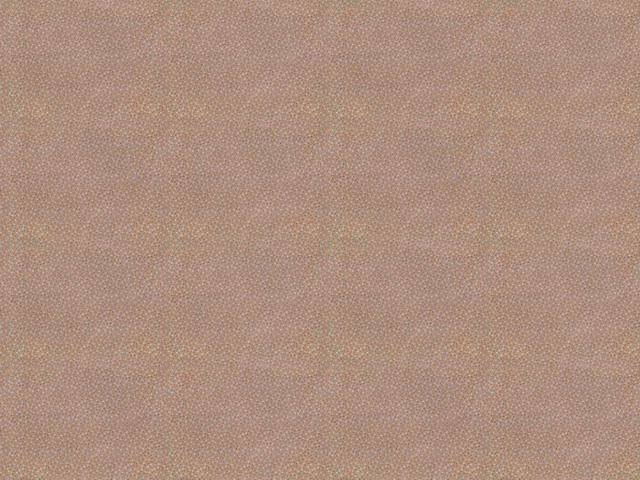 ֽ (163).jpg