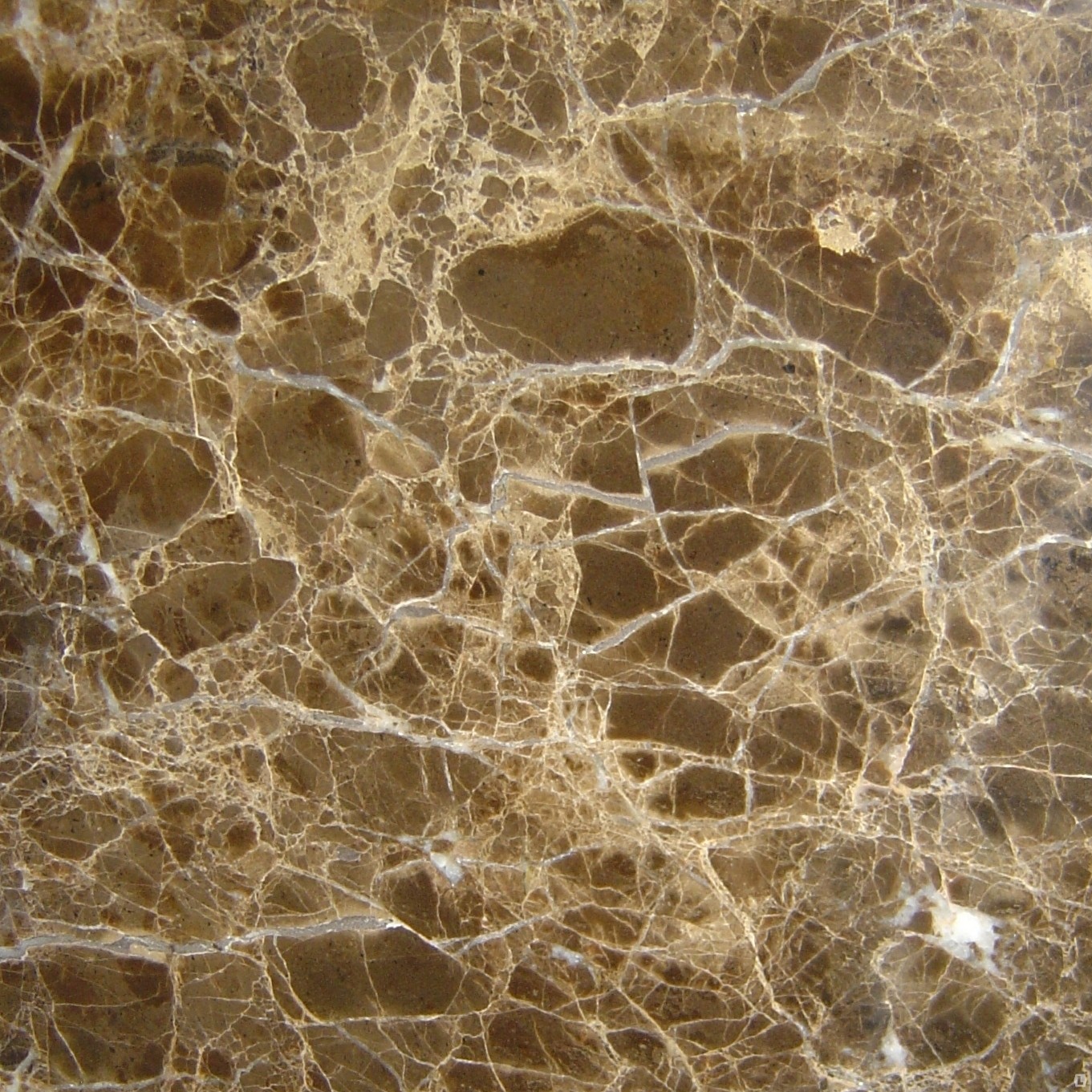 1 (563).jpg