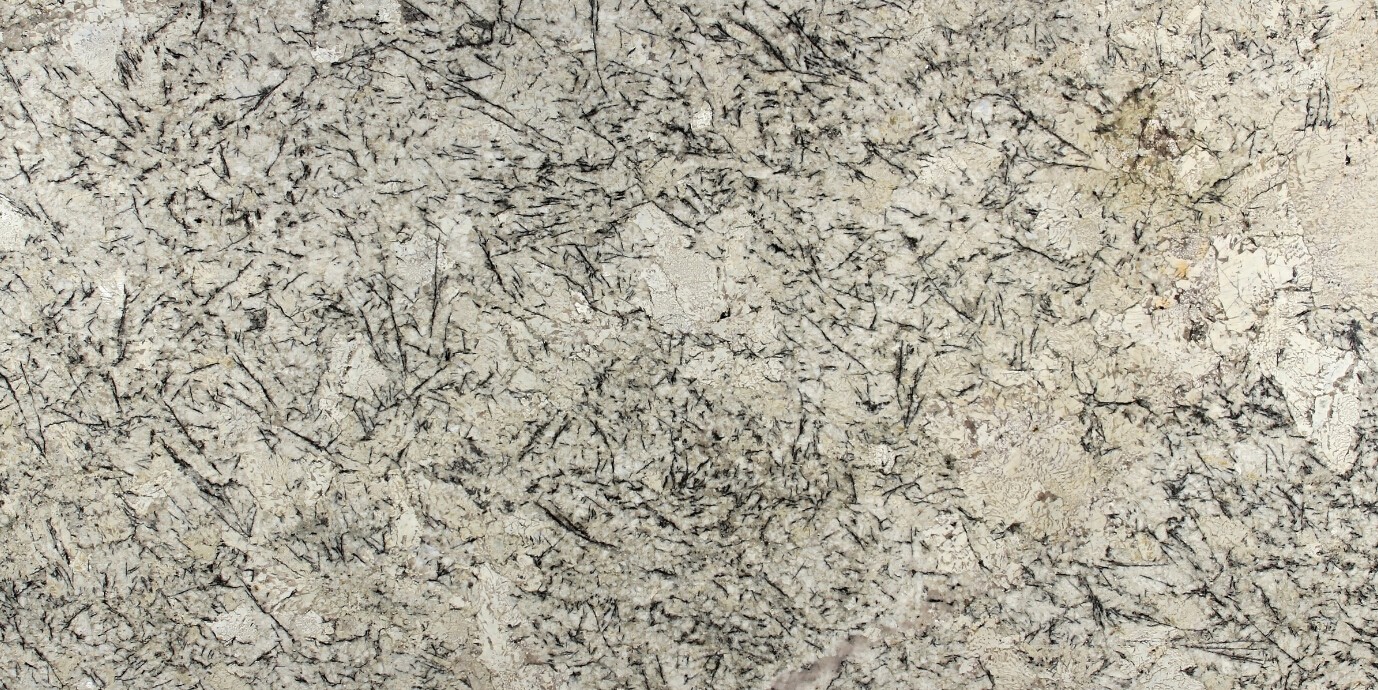 1 (919).jpg