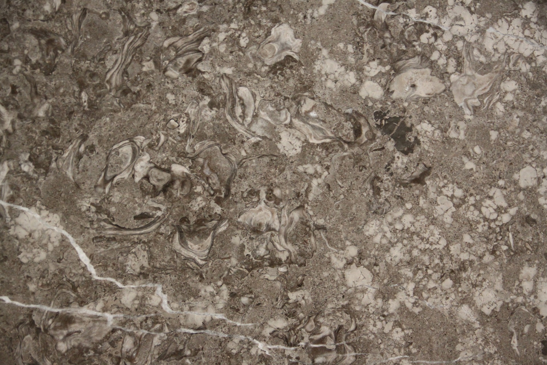 1 (1061).jpg
