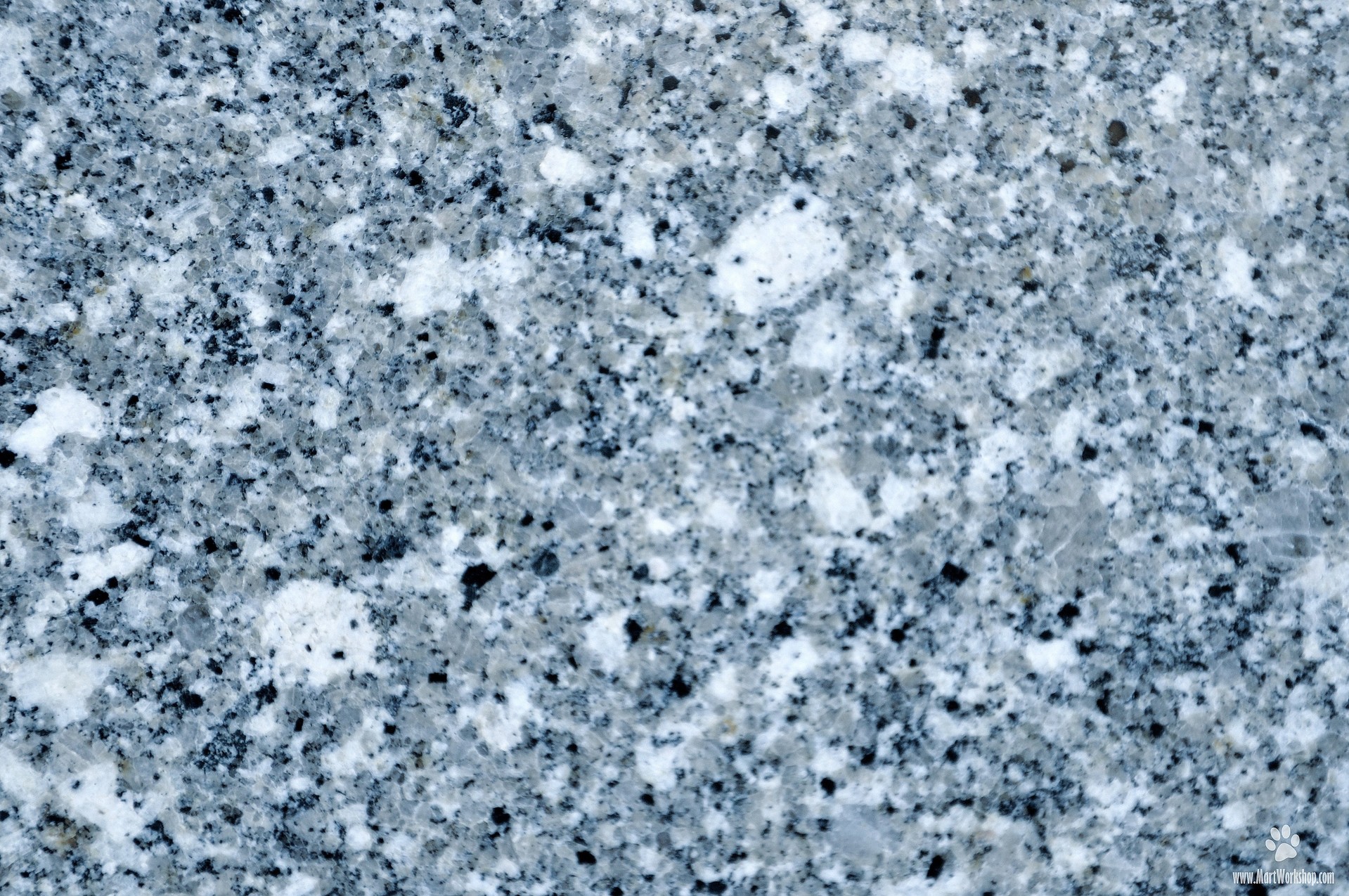 1 (1152).jpg
