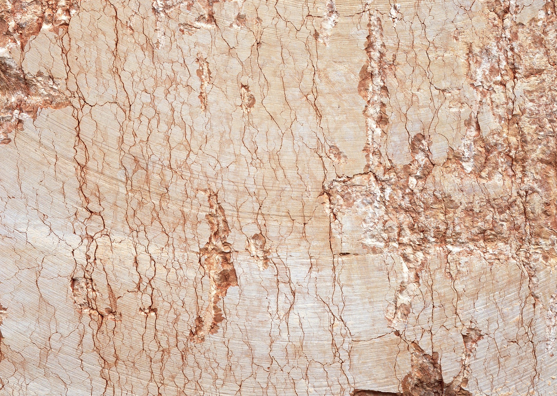 1 (1186).jpg