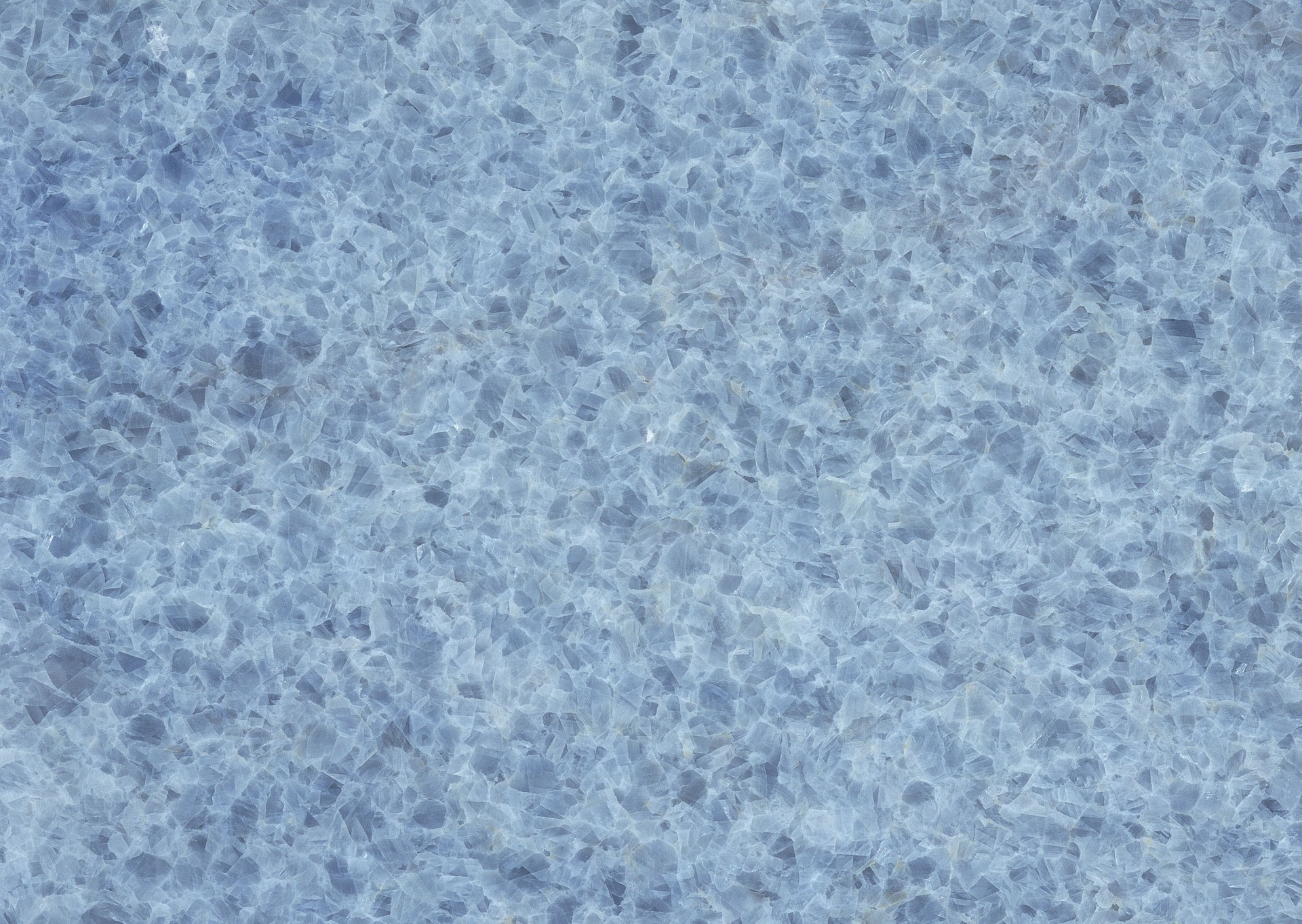 1 (1220).jpg
