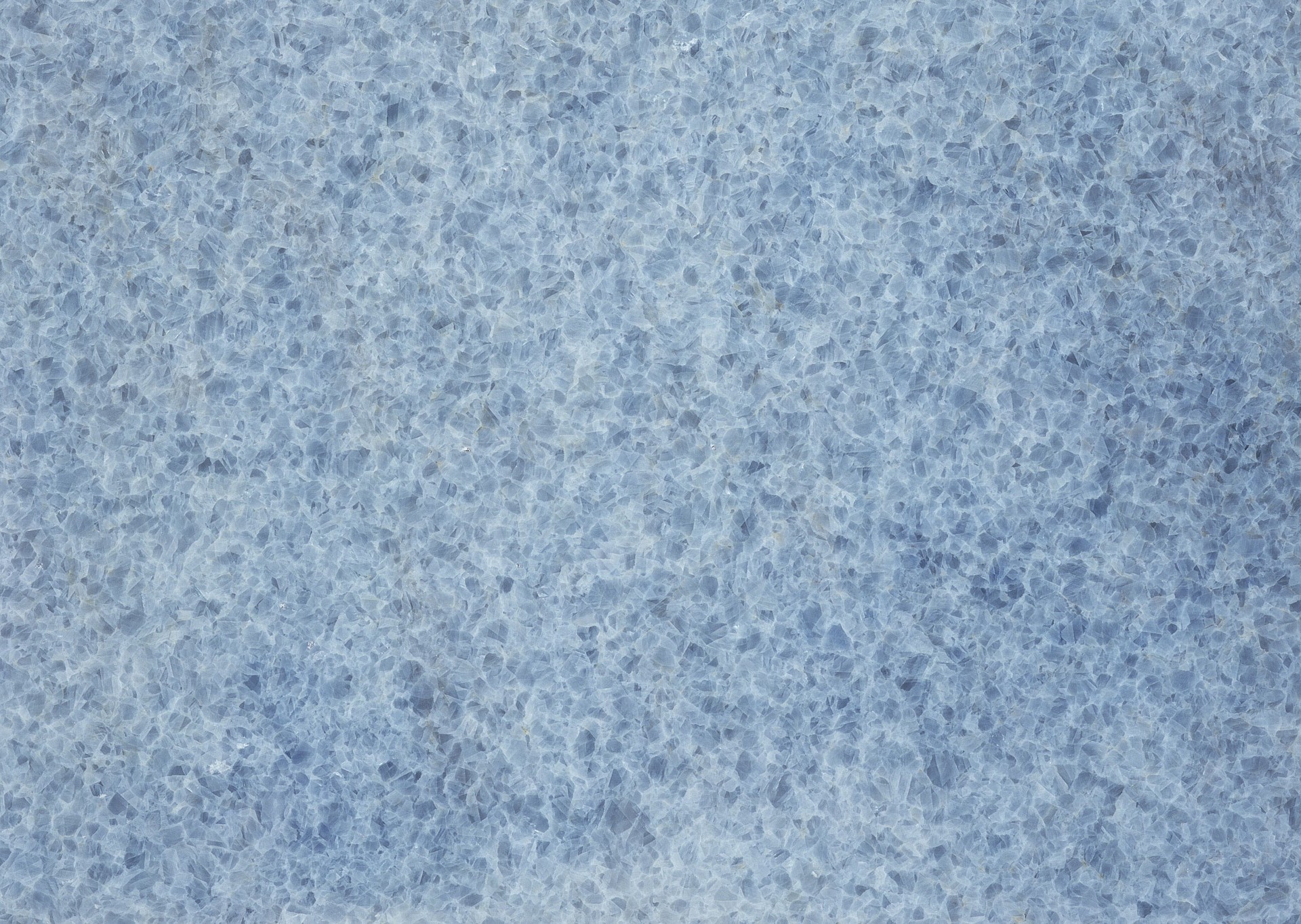 1 (1221).jpg