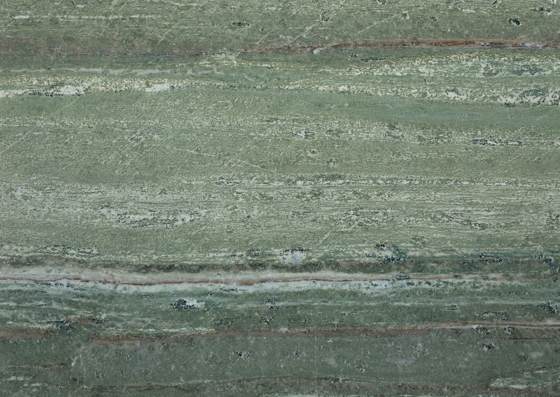 1 (1284).jpg