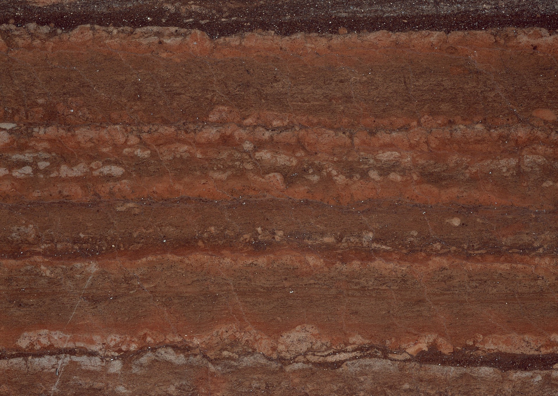 1 (1303).jpg