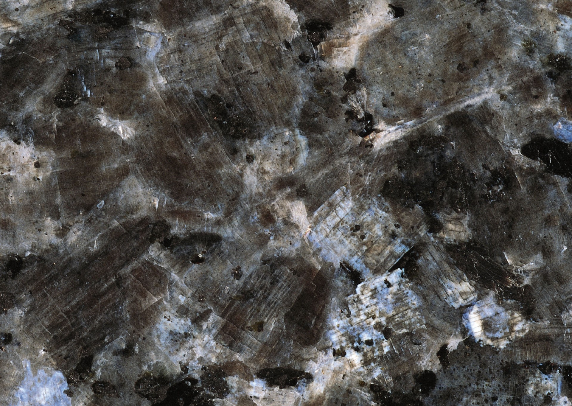 1 (1363).jpg