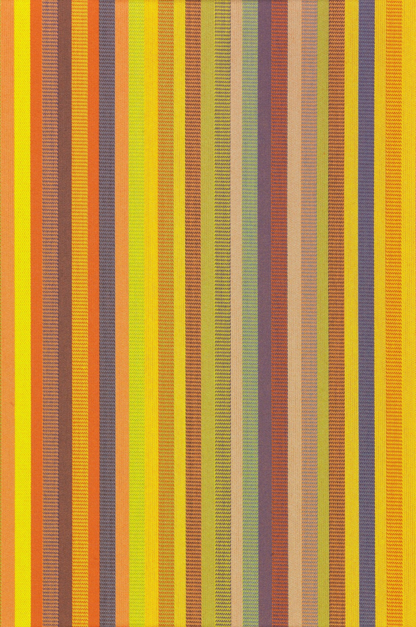 Ʒ (1260).jpg