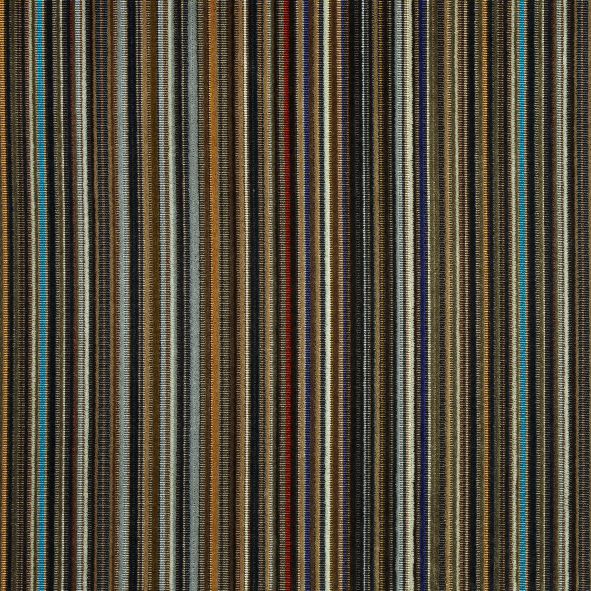 Ʒ (2127).jpg