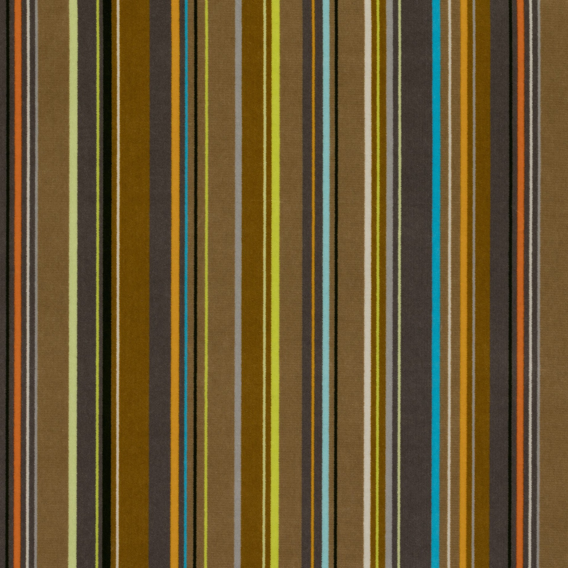 Ʒ (2290).jpg