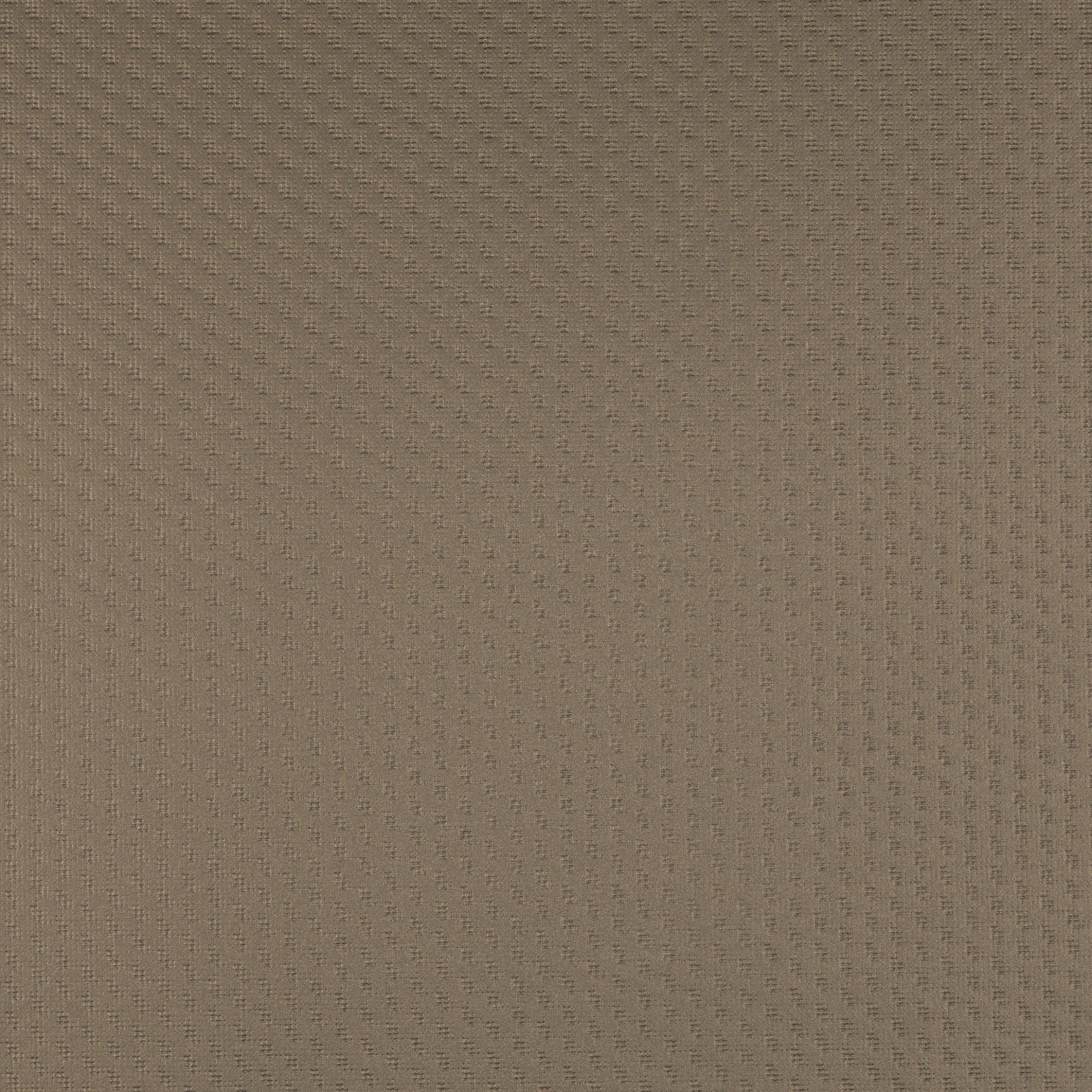 Ʒ (2295).jpg