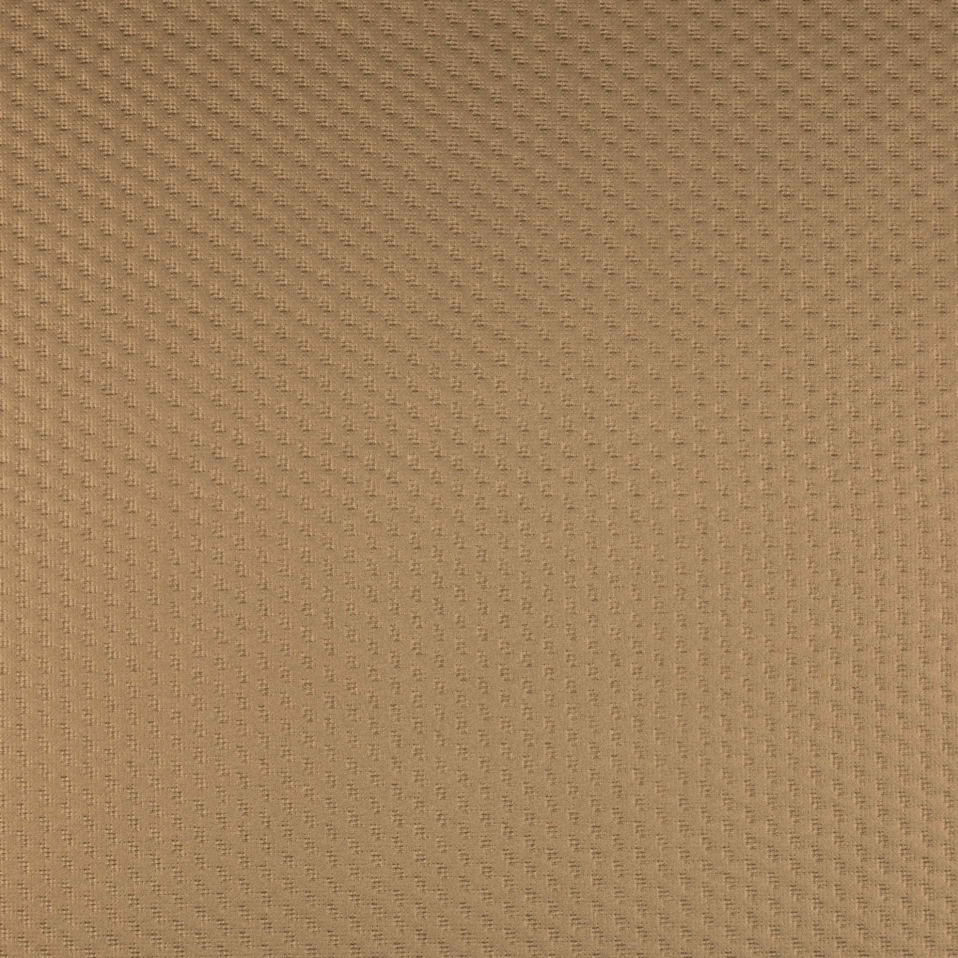 Ʒ (2296).jpg