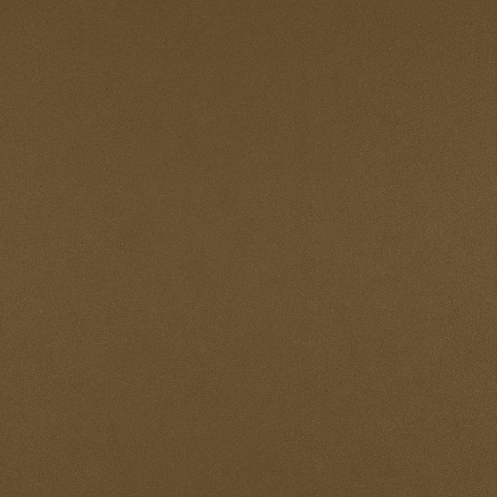 Ʒ (2333).jpg