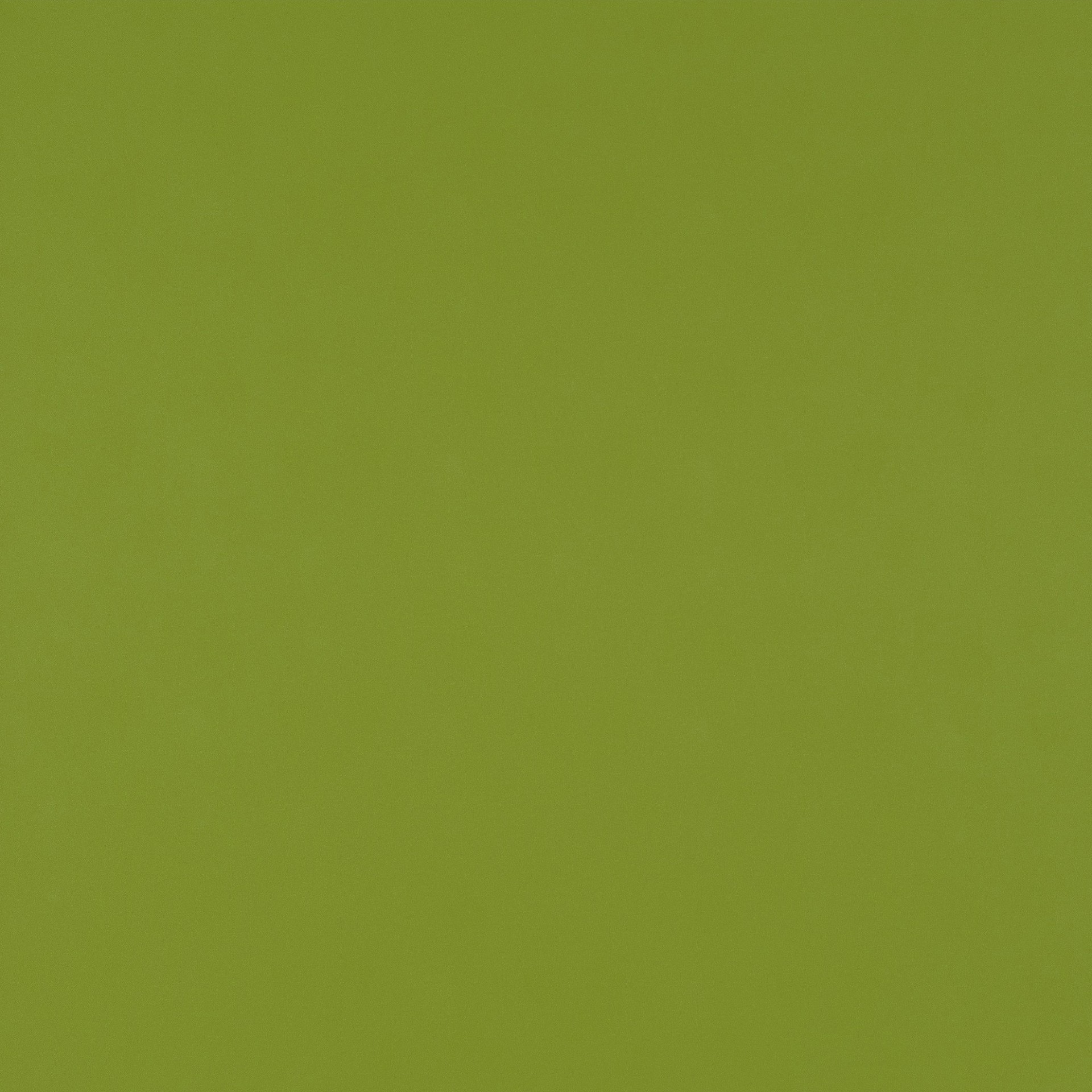 Ʒ (2338).jpg