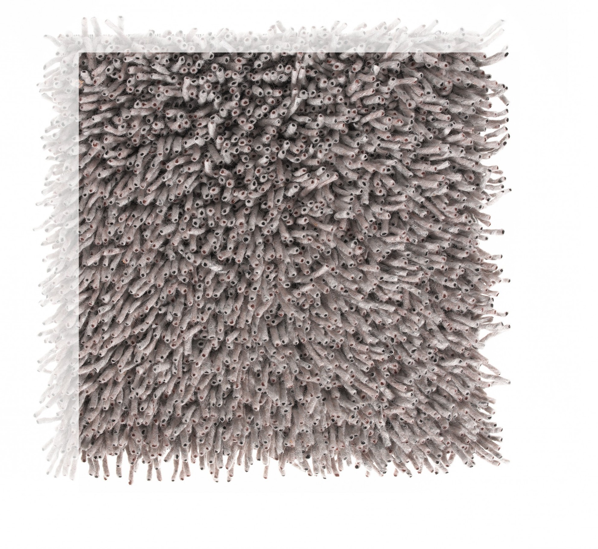 Ʒ (2472).jpg