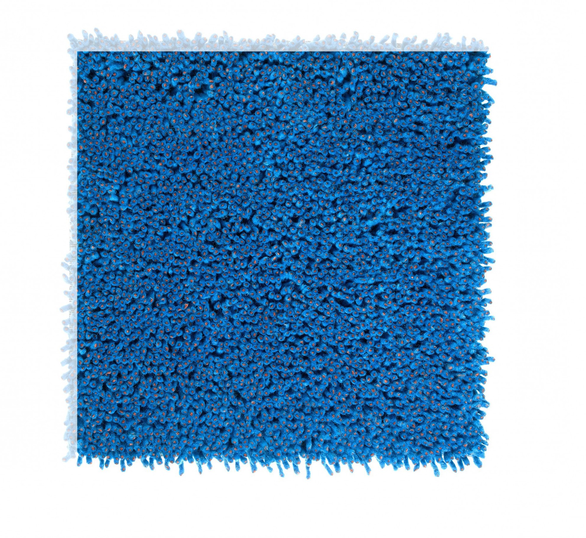 Ʒ (2492).jpg