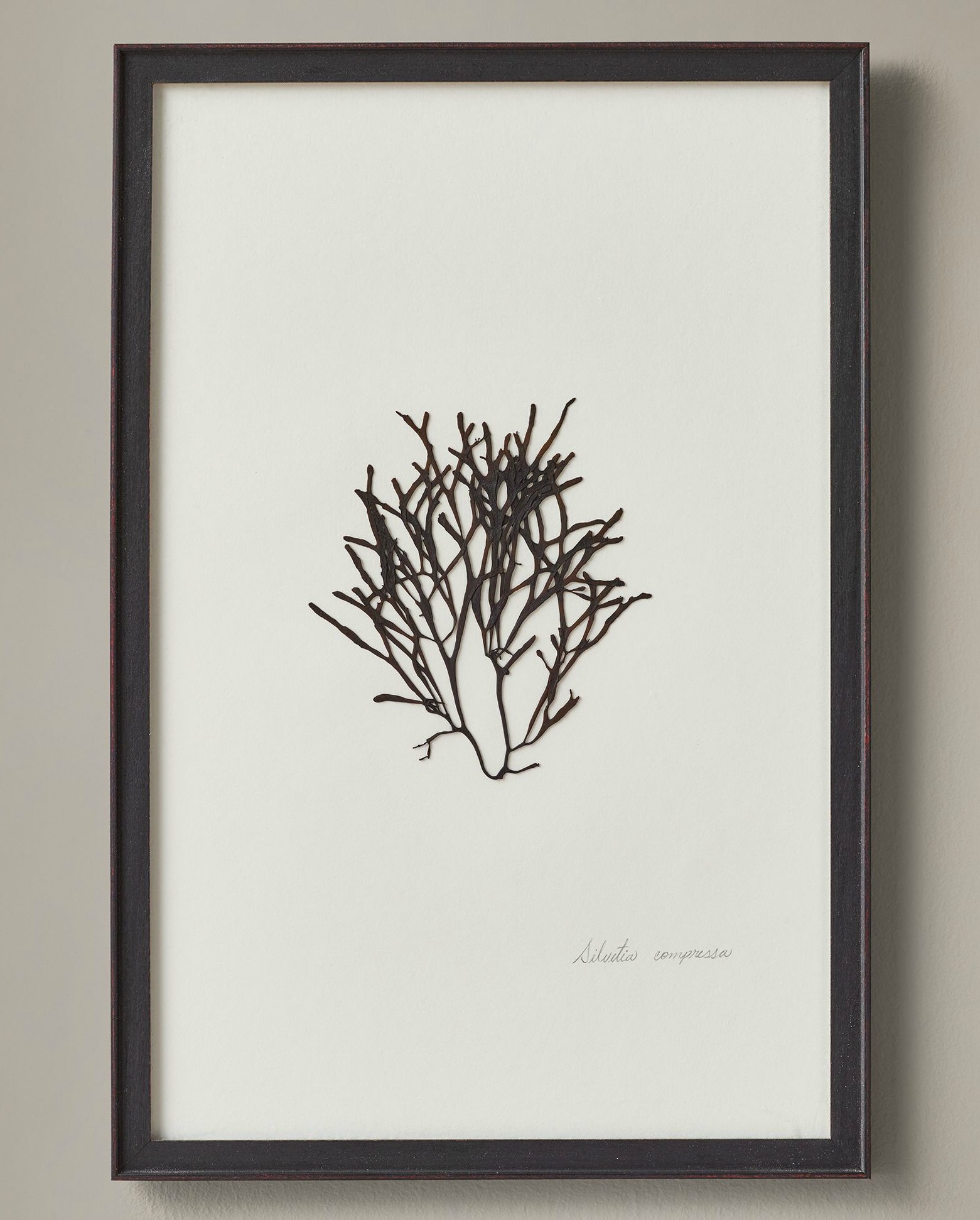  (188).jpg