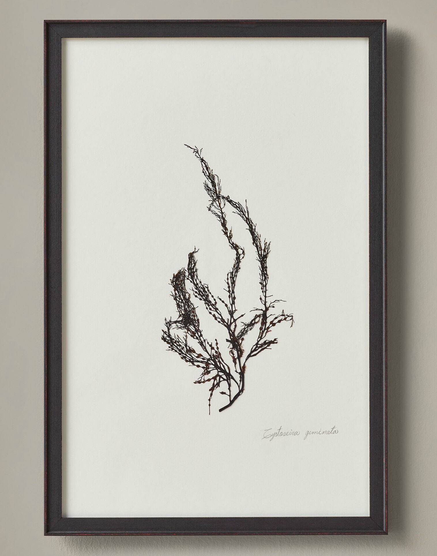  (193).jpg