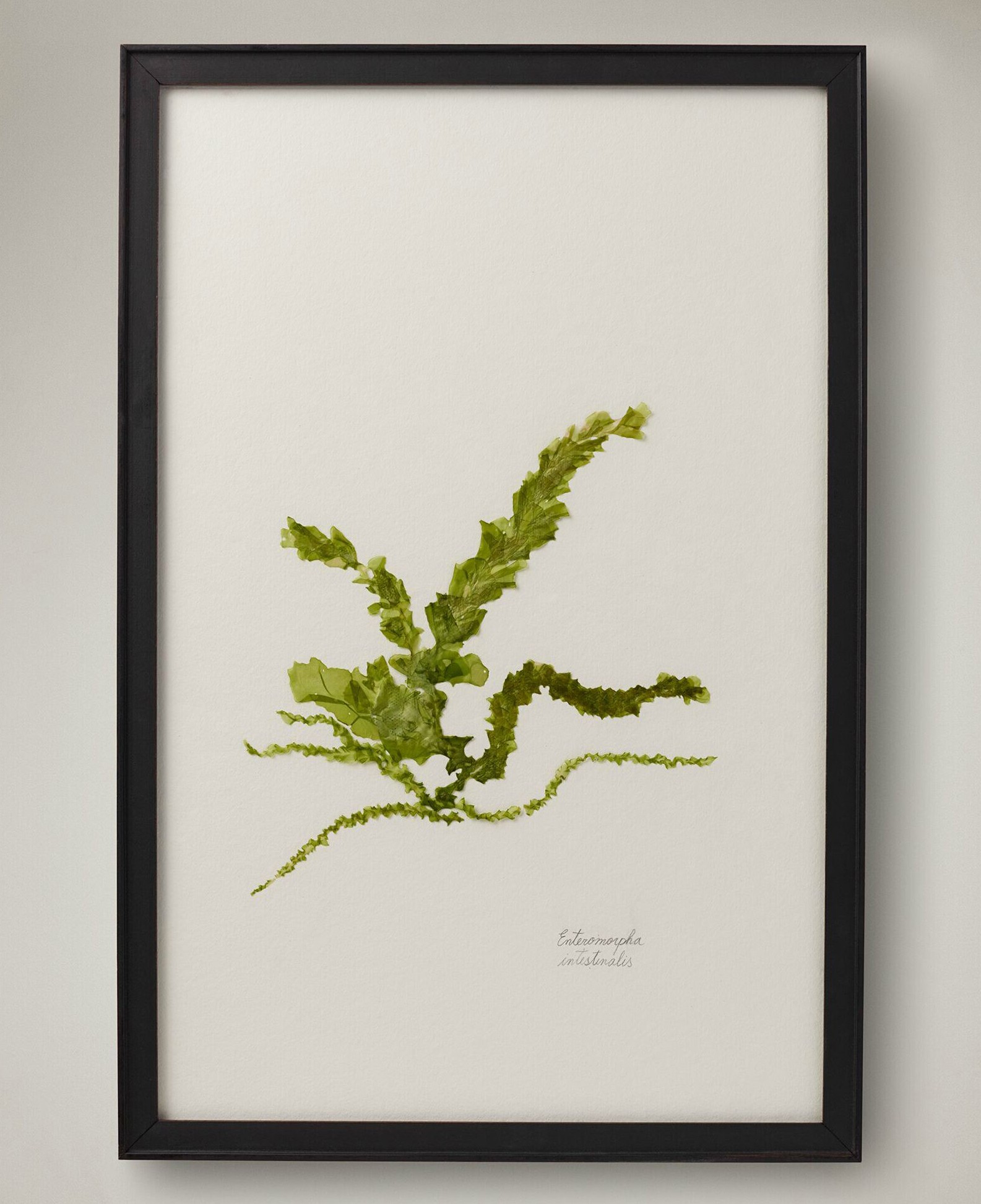  (195).jpg