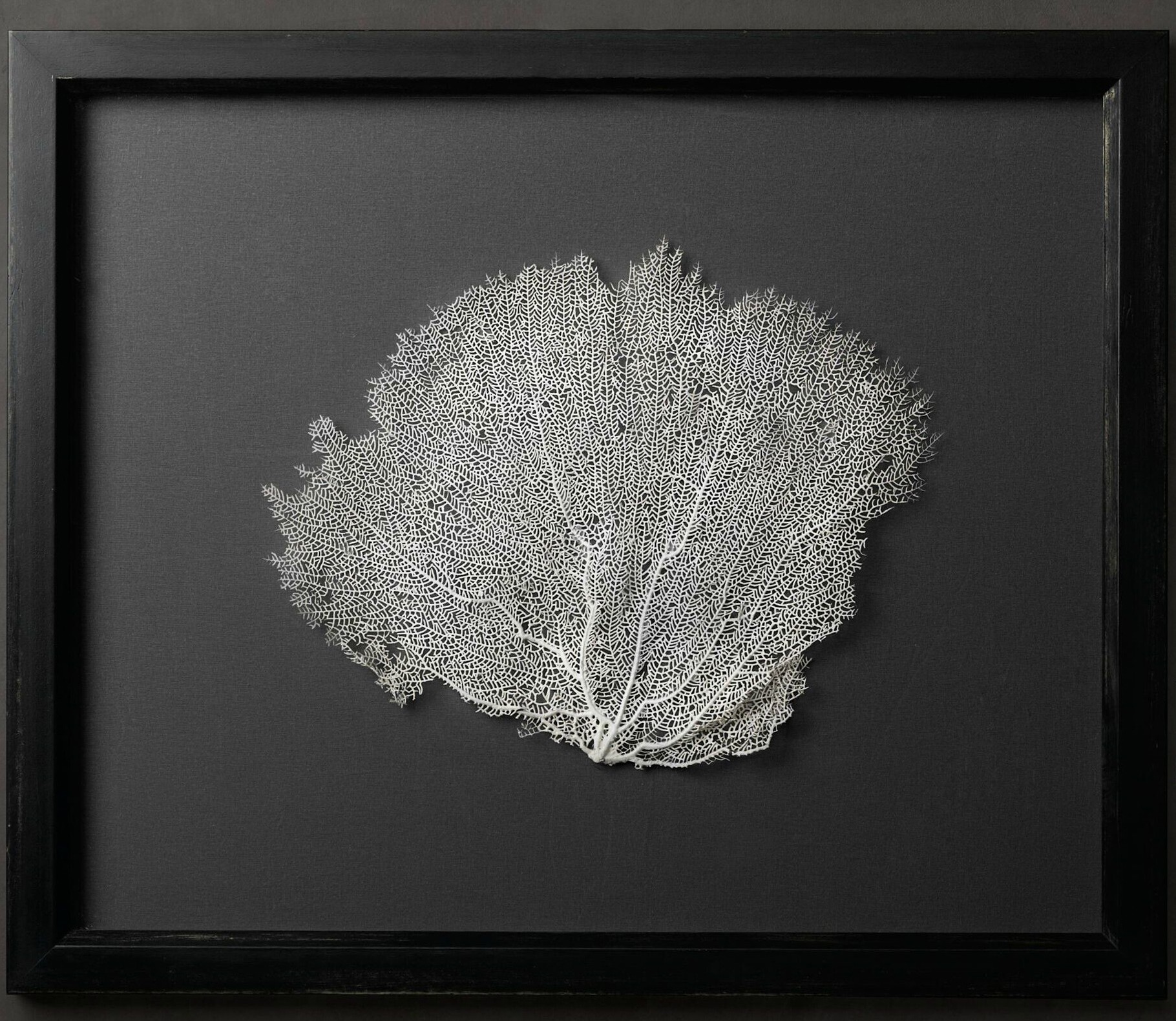  (277).jpg