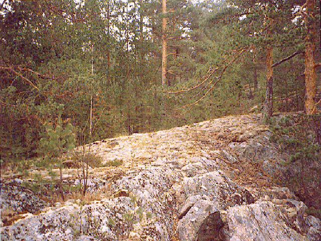 ŷʽ (141).JPG