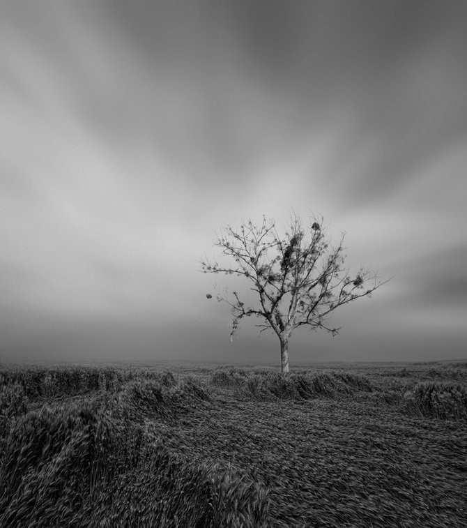 ӰƷ (10).jpg