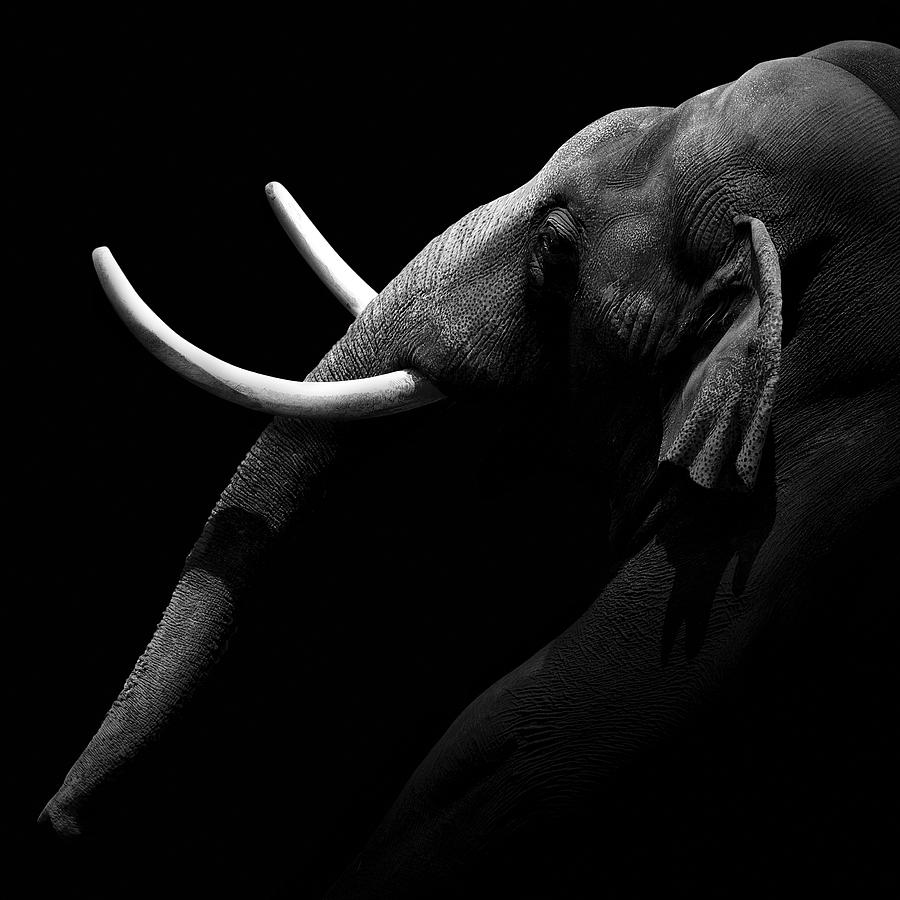 ӰƷ (15).jpg